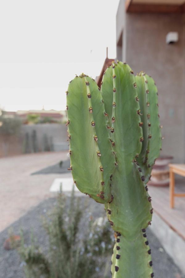 Casa Michaus فالي دي جوادالوبي المظهر الخارجي الصورة